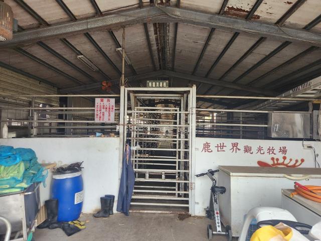 彰化竹塘牧場-4