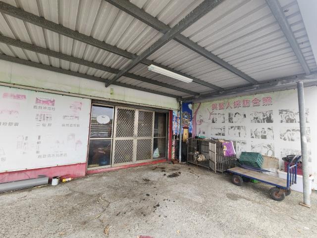 彰化竹塘牧場-5