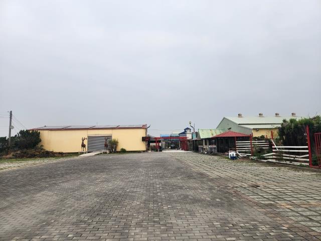 彰化竹塘牧場-7
