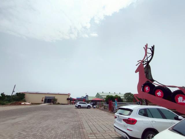 彰化竹塘牧場-2