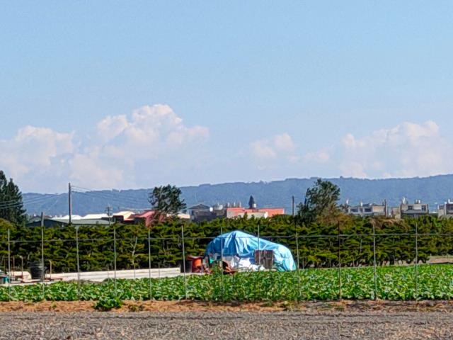彰化農地-5