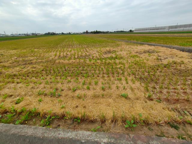 彰化農地-5