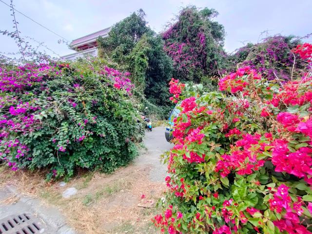 溪湖農地-5