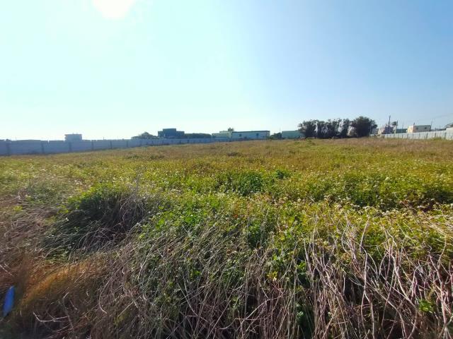 埔鹽農地-1