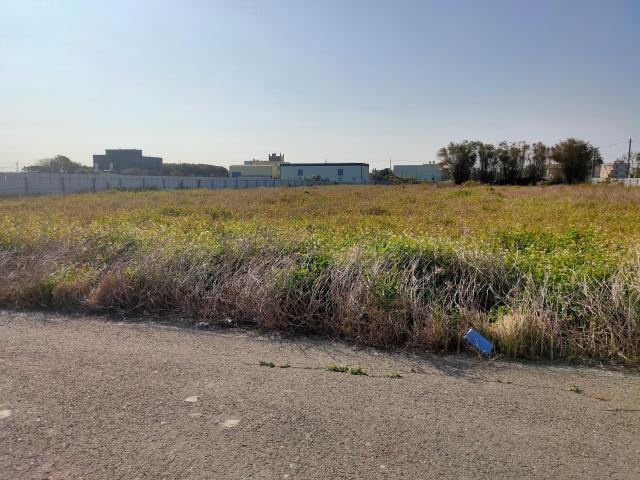 埔鹽農地-2