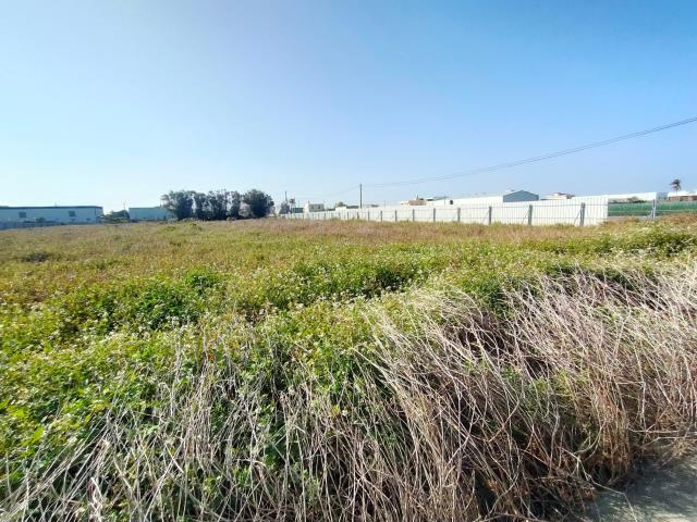埔鹽農地-4