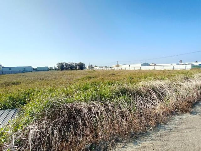 埔鹽農地-7