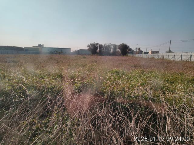 埔鹽農地-8