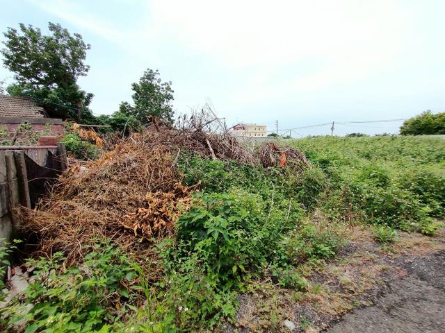 彰化埔鹽建地-4
