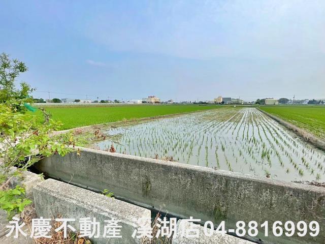 彰化埔鹽農地-12