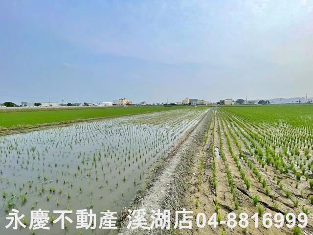 彰化埔鹽農地-13