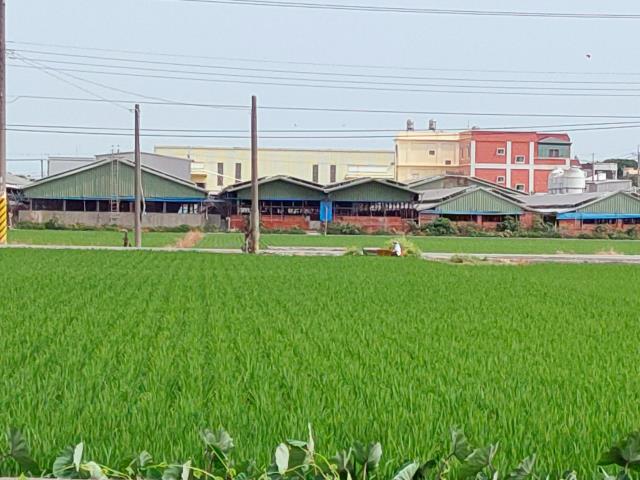 埔鹽農地-2