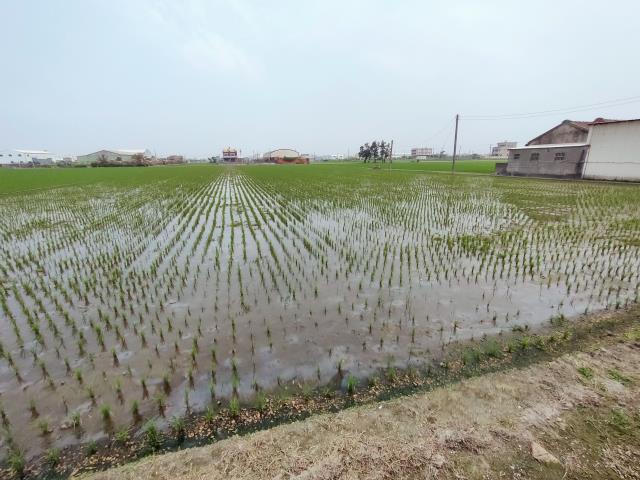福興農地-5