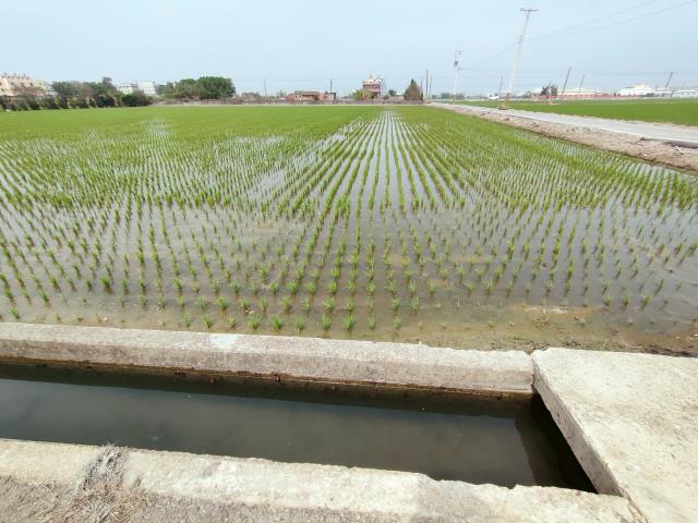 福興農地-3