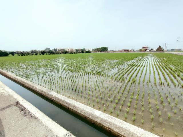 福興農地-4