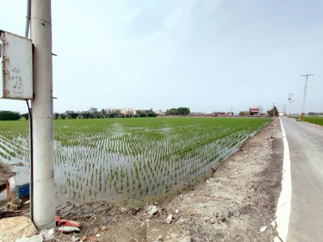 福興農地-6