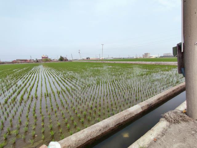 福興農地-8