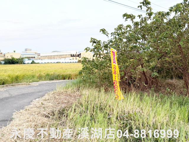 和美農地-3