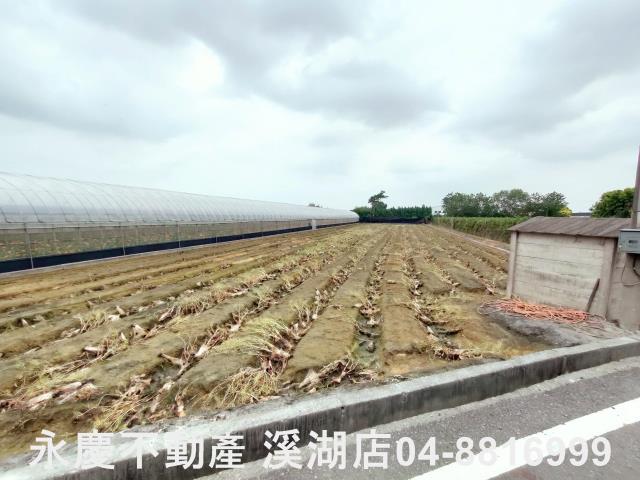 田尾農地-3