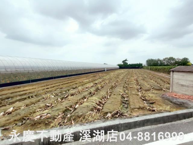 田尾農地-4