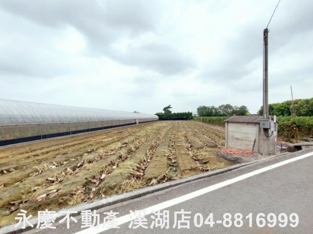 田尾農地-5