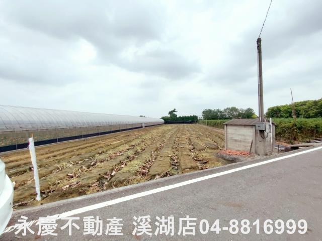 田尾農地-7