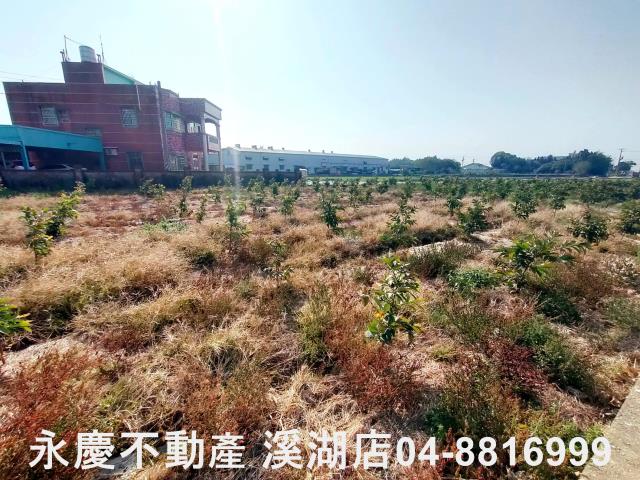 竹塘農地-3