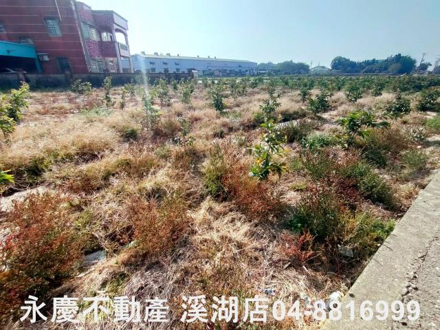 竹塘農地-0