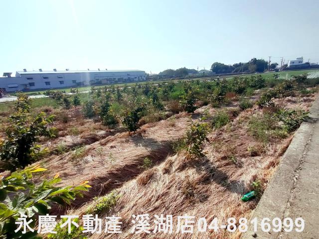 竹塘農地-6