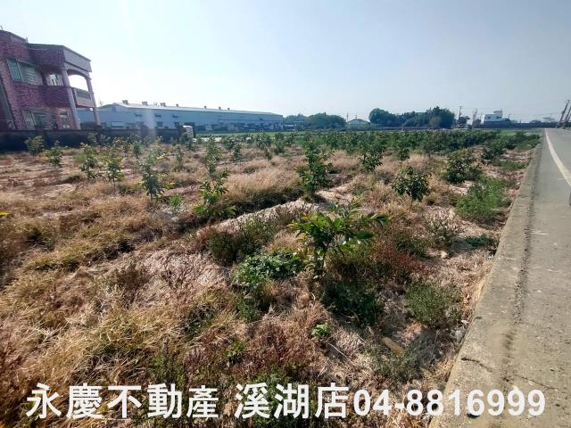 竹塘農地-8