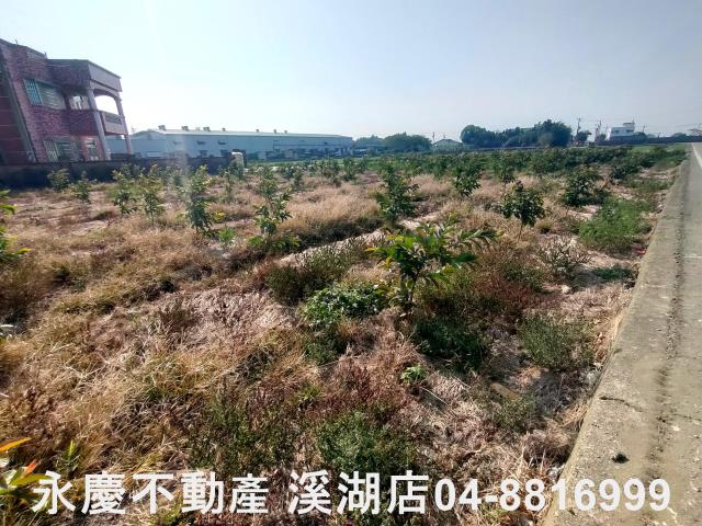 竹塘農地-9