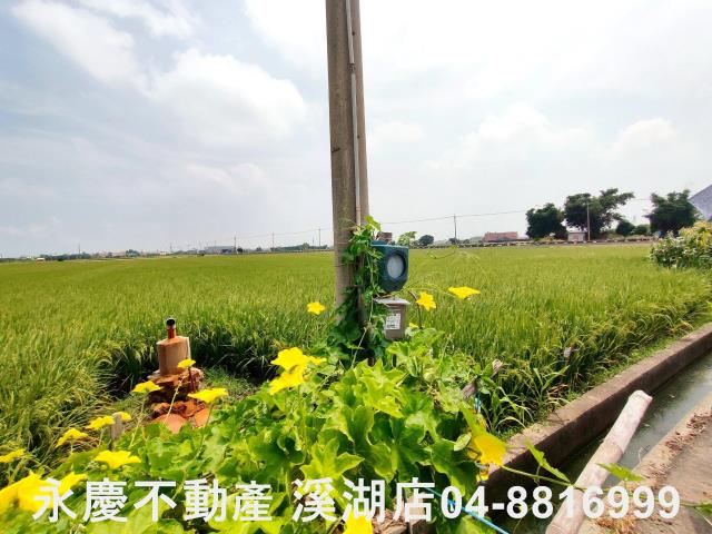 彰化埔鹽農地-0
