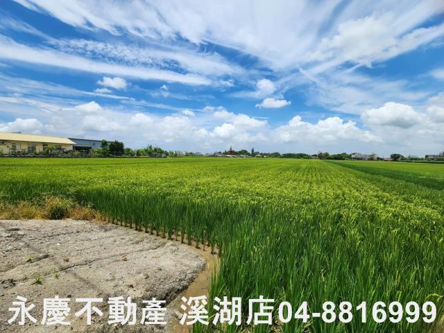 竹塘農地-2