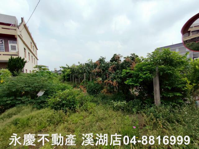 彰化農地-3