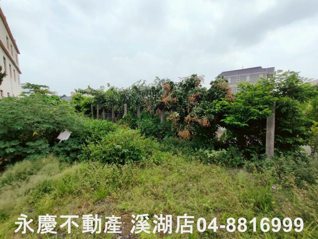彰化農地-5