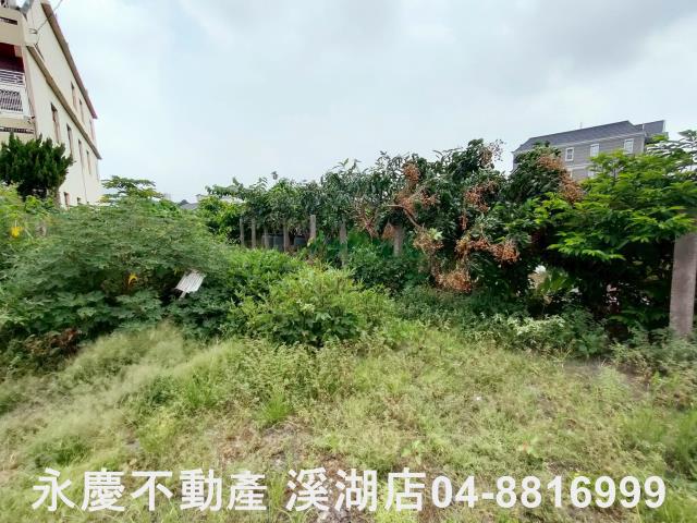 彰化農地-7