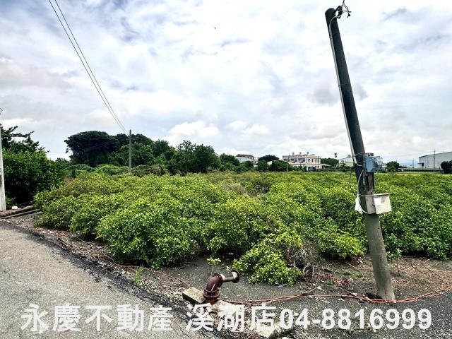 埔心農地-9