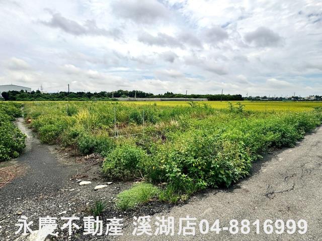 埔心農地-10