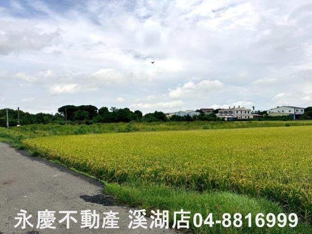 埔心農地-11