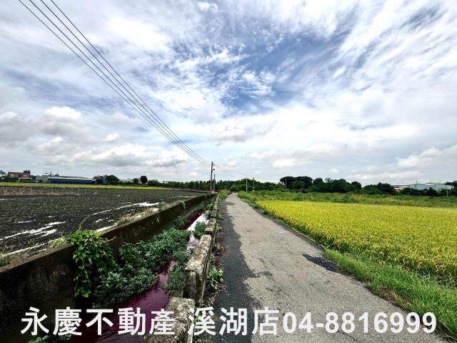 埔心農地-12