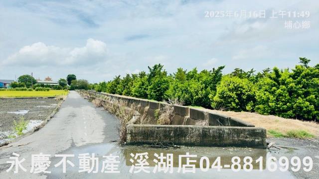 埔心農地-13
