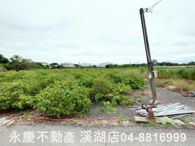 埔心農地-0