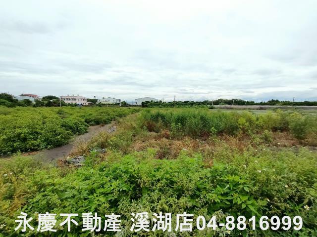 埔心農地-1