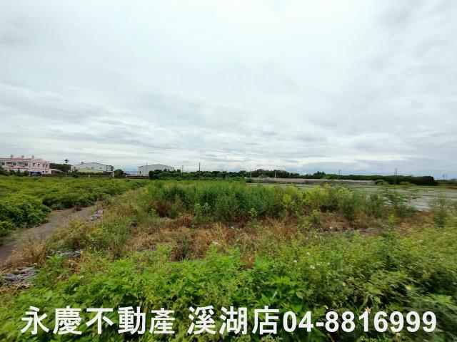 埔心農地-2