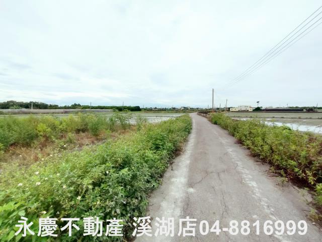 埔心農地-4