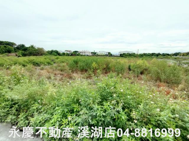 埔心農地-5