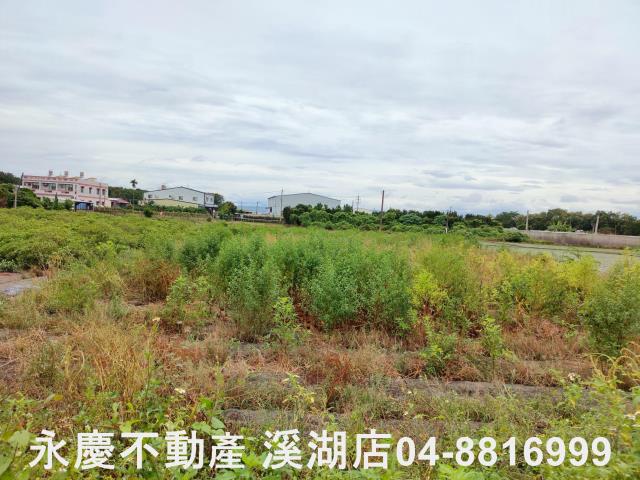 埔心農地-6