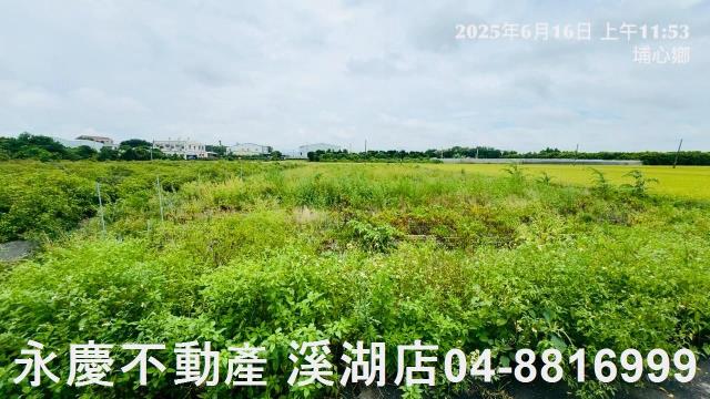 埔心農地-7