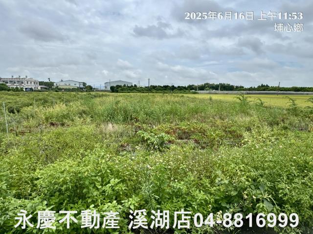埔心農地-8