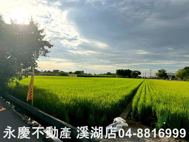 埔鹽農地-9